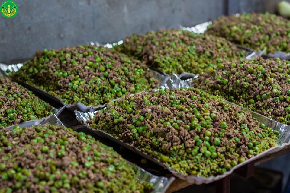 بارك الله لهما وبارك عليهما وجمع بينهما في خير "